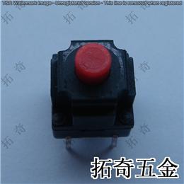 輕觸開關 10*10防水 開模定制
